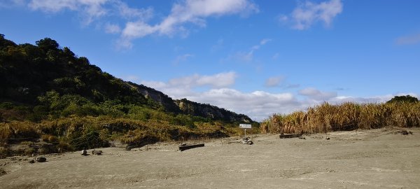 2026/01/01_大安溪峽谷步道2978115