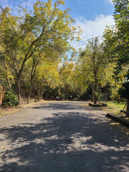 坑內坑後段超級曬2724214