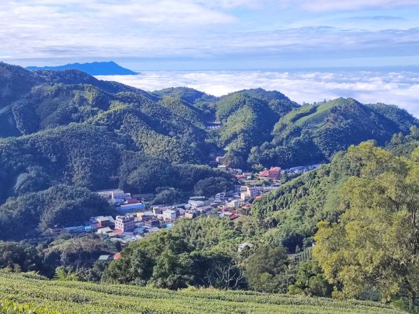 梨子腳山/獨立山-小百岳#57#58-嘉義縣梅山鄉/竹崎鄉2412340