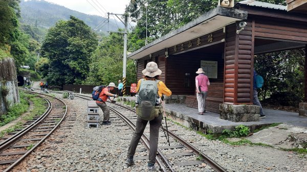 《嘉義》螺旋鐵道｜竹崎獨立山阿拔泉山逆O繞202504182765579