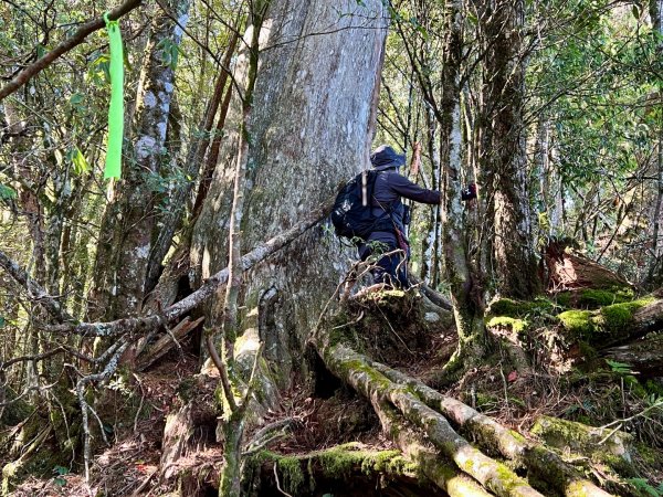 船型山環走大雪山210林道2978057