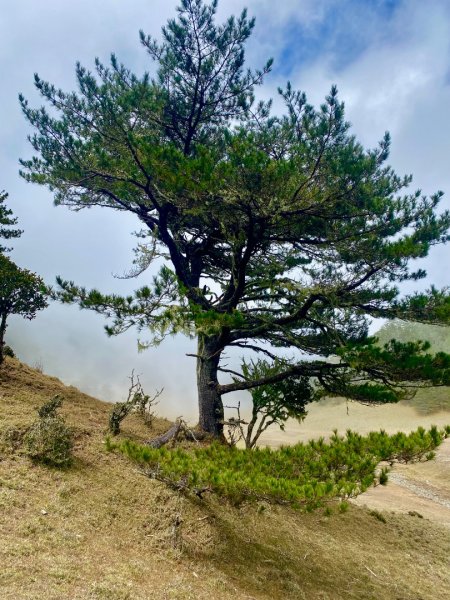 啟動高山度假模式~金牌三小隊之馬博橫斷8日2965072