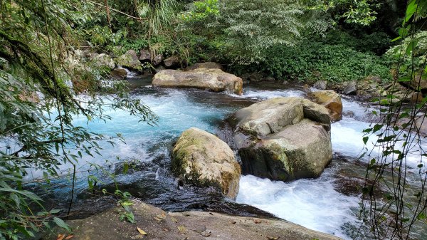 宜蘭松羅國家步道1729287