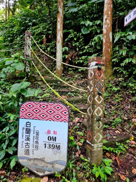 白蘭溪古道-2025森遊竹縣皮皮獅探險隊2895441