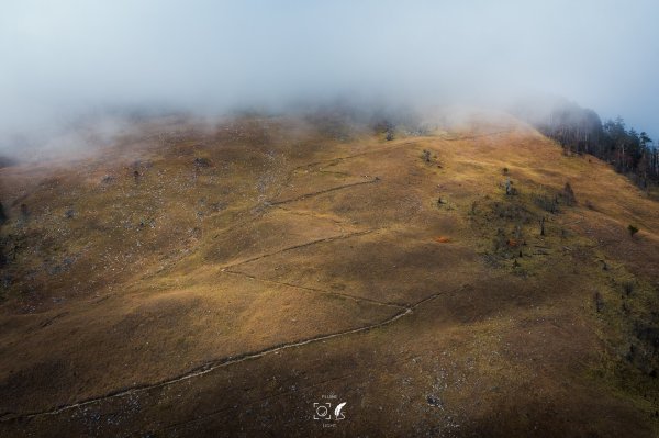 心映雪翠｜Mt.Xue｜Taiwan 785874