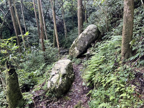 [淡蘭古道] 2025_0802 南路第四段2850830