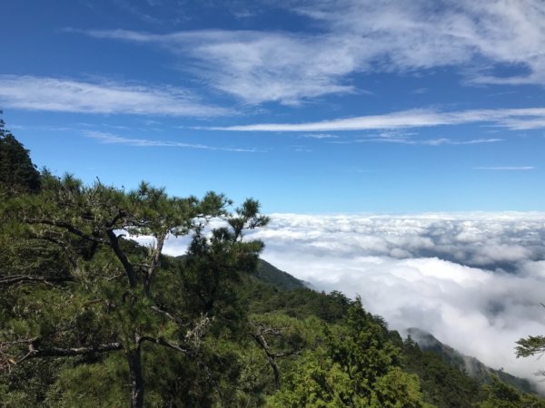 鳶嘴稍來山703331