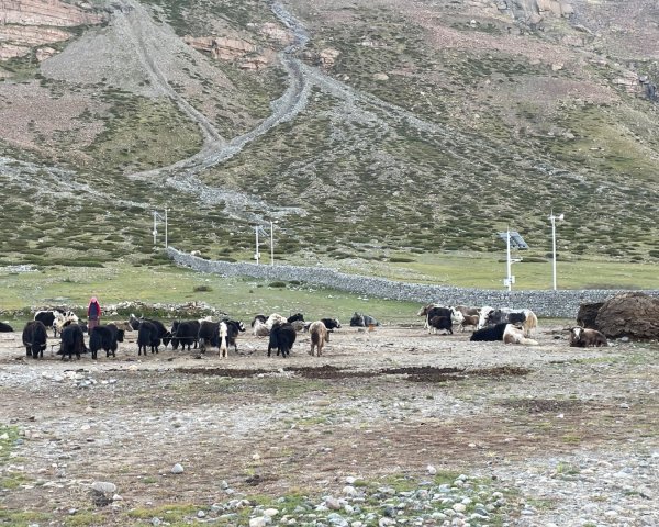 西藏-崗仁波齊轉山/珠峰大本營5200米2897709