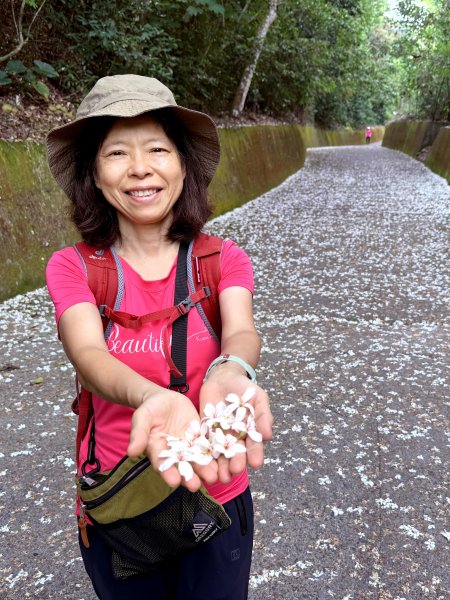挑水古道附近古道串聯+藤山步道202505032784331