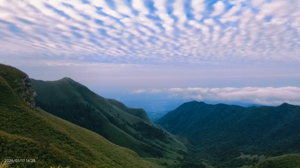 陽明山趴趴走追雲趣 1/172983239