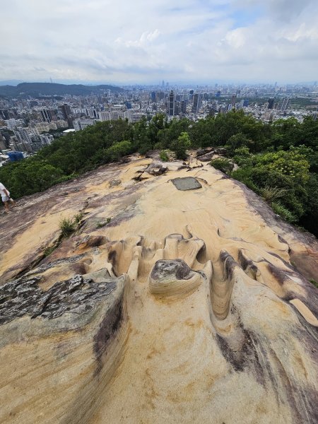 軍艦岩、丹鳳山親山步道3110731