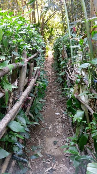 台北大縱走之劍潭山+忠義山445665