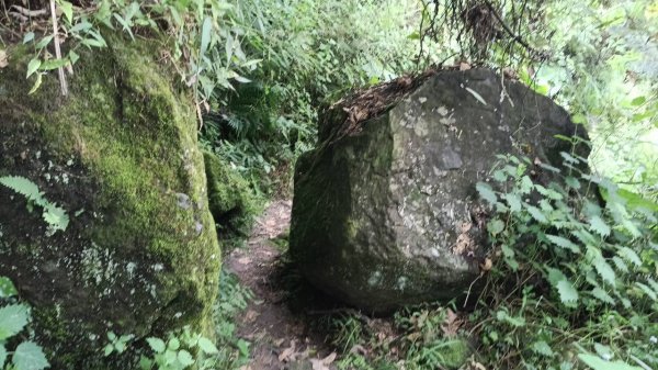 20251004 馬那邦山 - 珠湖 登山口2904796