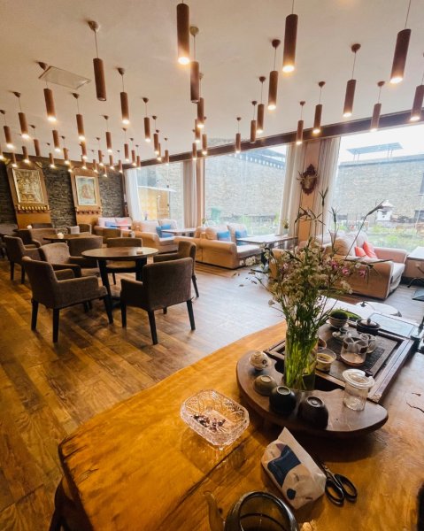 西藏♥️可愛動物🐎人物寫真/拉薩旅拍/美食2903344