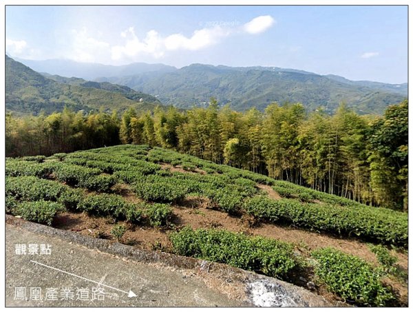 鳳凰谷步道(鹿谷鄉)2690454