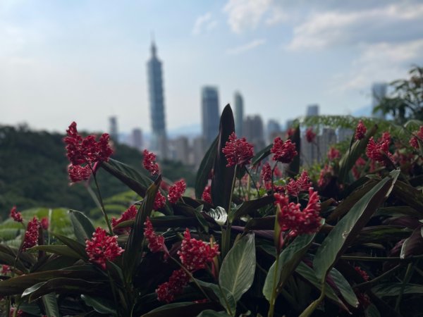 1140513象山峰-永春崗平台O繞2785609