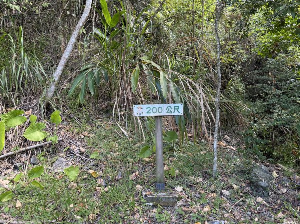 [漫遊縱谷 愛在花東] 2025_1018 米棧古道(第二回)2921156