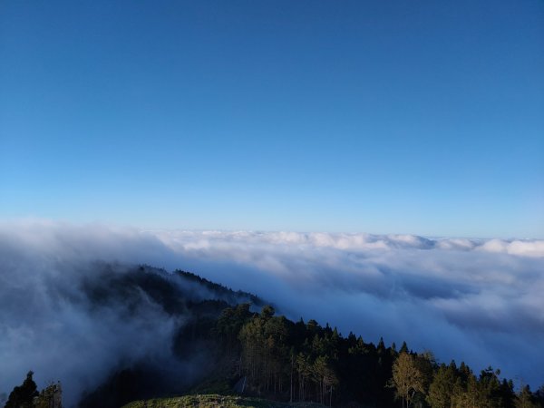 觀霧雲海山林之美2923637