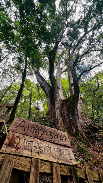 🌈8/16（六）遠的要命的王國~鎮西堡B區神木巡禮✨FB：熊熊趴爬走🌈2861629