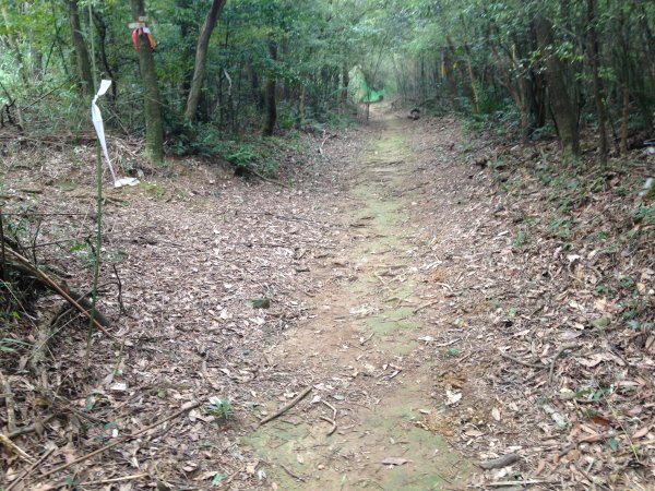 石崁山，開眼山586911