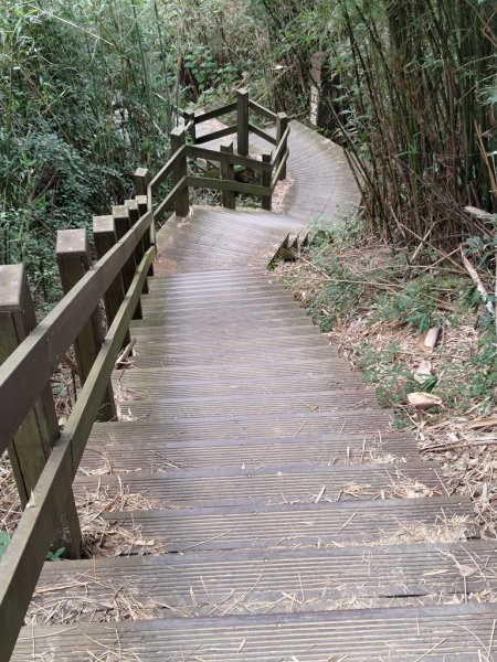 【新竹縣芎林鄉】文林古道2833071