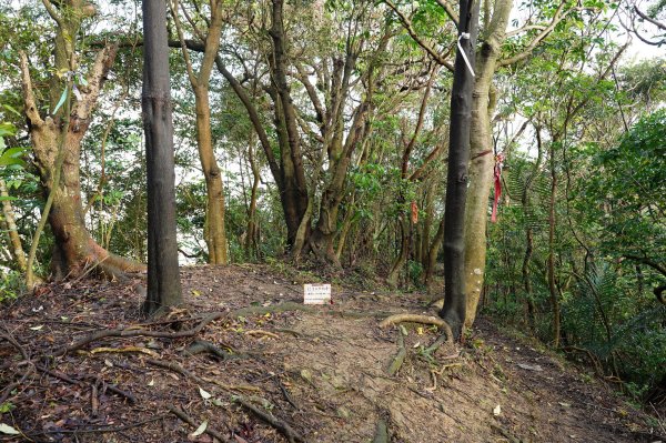 基隆 仁愛 紅淡山、金交椅山2714986