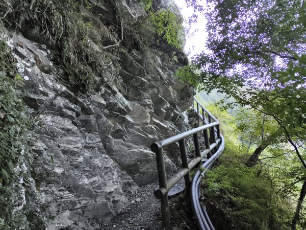 [玉山尋寶任務-07/12] 2025_0824 八通關雲龍瀑布步道2870478