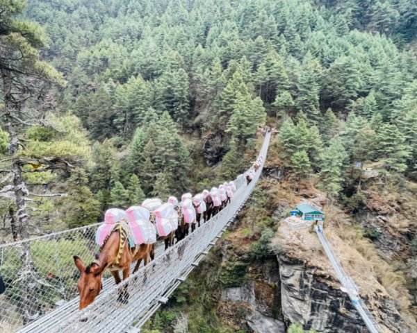 尼泊爾聖母峰EBC基地營❤️風景篇2790937