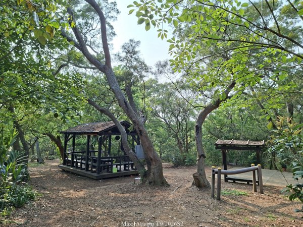 《台中》綠色隧道｜大肚環保公園登山步道O繞202604183038506