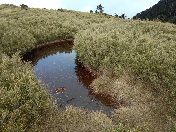 合歡西峰單攻1216976