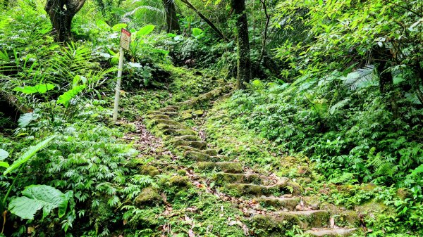 三貂嶺瀑布群,野人谷瀑布群2832506