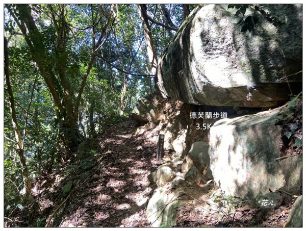 東卯山、東卯山西峰、東卯山西南峰 連走2932833