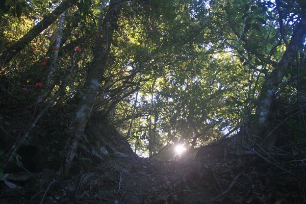 非正規路線上郡大山1504249