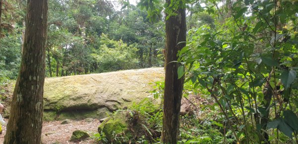 金龜岩、猴洞步道1786135