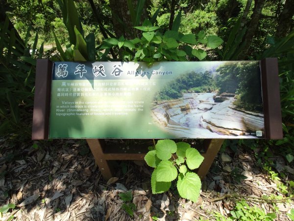 萬年峽谷步道3078770