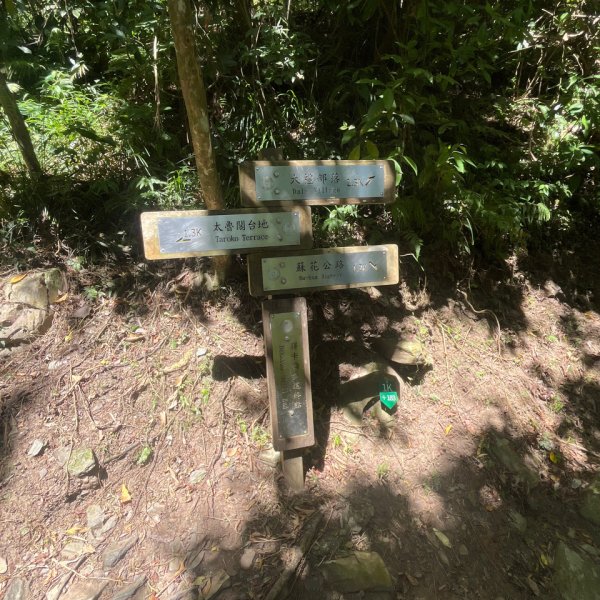 20251011_立霧山認證點（花蓮小百岳）2941281