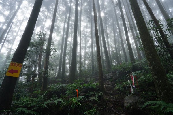 苗栗 南庄 三角湖山、向天湖山、光天高山2309923