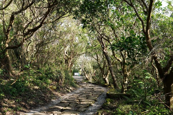 新北 八里 觀音山、牛港稜山2681337