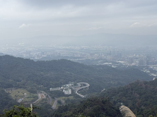 1150206天上山及硬漢嶺2999151