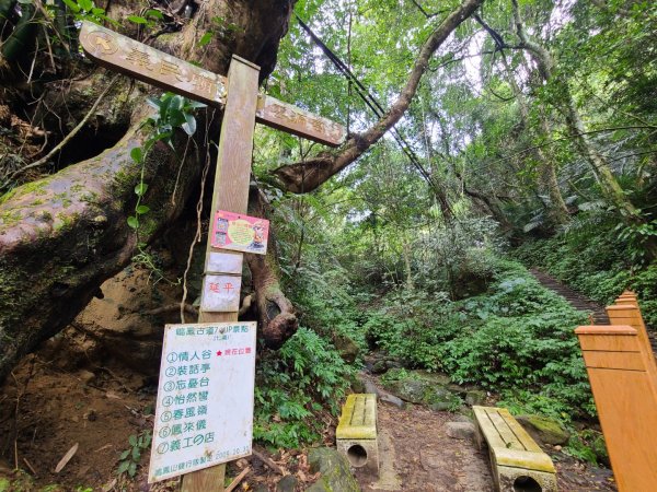 鳴鳳古道.獅潭古老師深度遊2060161