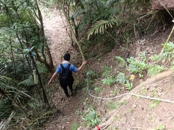 貢寮區龍洞坑古道+苦苓嶺+南雅山+海園古道O型2954603