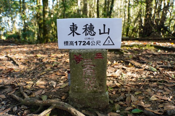 新竹 尖石 東穗山、島田山2939422