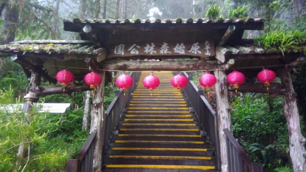 太平山國家森林公園封面