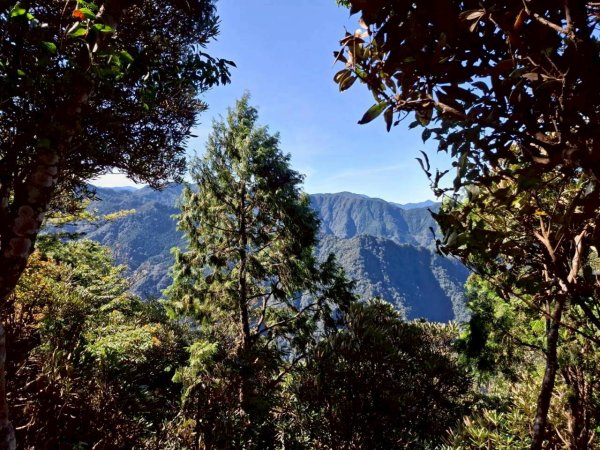 🌈11/9(日)高島縱走~高台山連走島田山山徑✨FB：熊熊趴爬走🌈2932481