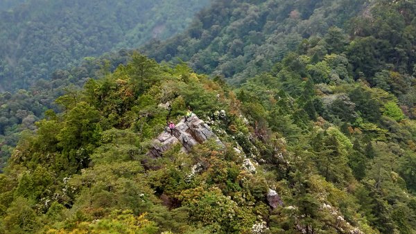 鳶嘴山 2019/05/05580959