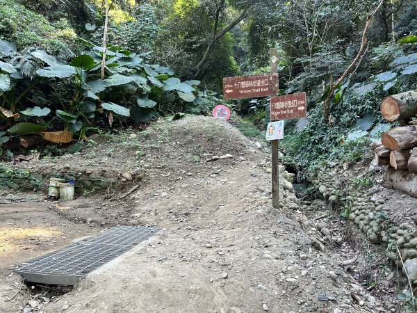 清水岩中央嶺造林步道2957424