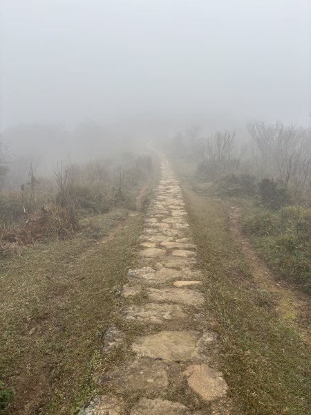 陽明山東西大縱走-東段2984531