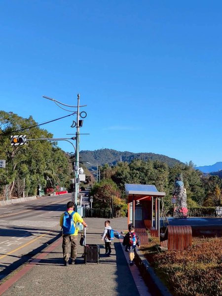🌈12/21(日)落雨松紅了~日月潭環湖精華段✨FB：熊熊趴爬走🌈2967381