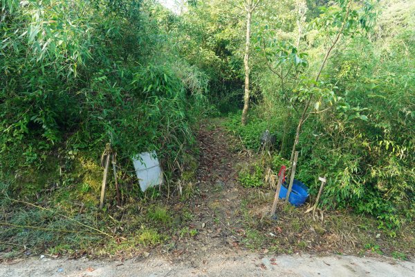 新北 新店 石碇後山、赤腳蘭山、暗寶劍山、鳥嘴尖2793475