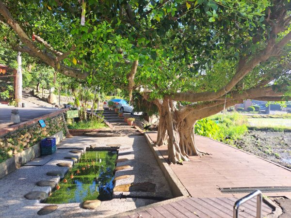 霄裡偷得浮生半日閒2897321